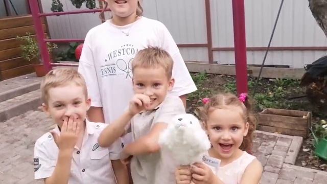 Феи аниматоры отзыв смотреть онлайн