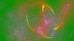 Green Screen Magic Effect Color Overlays Chroma Key Футаж Магия Волшебство Эффект