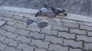 Почему не нужно переезжать на ПМЖ в Португалию.