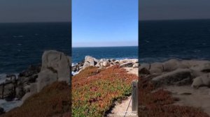 Большая маленькая ложь🤤