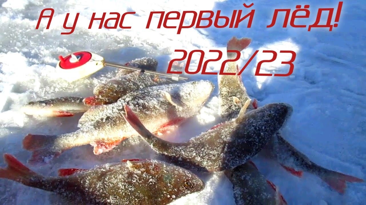 У НАС ПЕРВОЛЕДИЕ 2022 - 2023! ПОДВОДНЫЙ МИР ОКУНЕЙ! РЫБАЛКА НА МОРМЫШКУ!!!