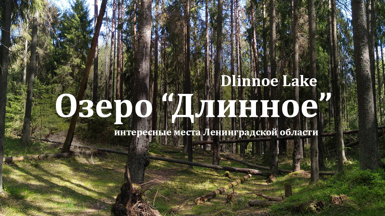 Поход выходного дня в окрестностях Питера. Oзеро "Длинное" (Долгое).