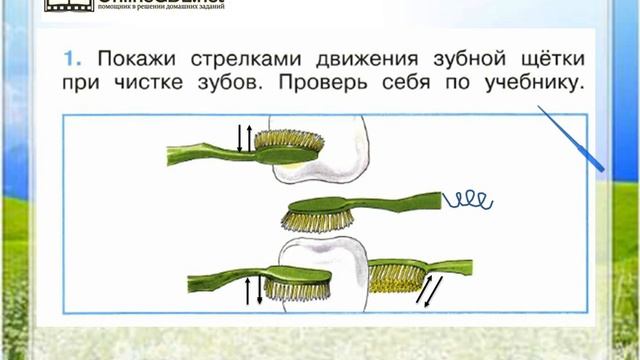 Видеоуроки окружающий. Почему нужно чистить зубы и мыть руки 1 класс. Почему нужно чистить зубы и мыть руки 1 класс окружающий мир. Почему надо чистить зубы окружающий мир. Покажи стрелками движения зубной щетки при чистке зубов.