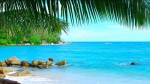 CJ DIMON CJ AKO   Зачем так создали любовь