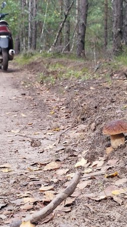 Удачно припарковаться,залог успеха.