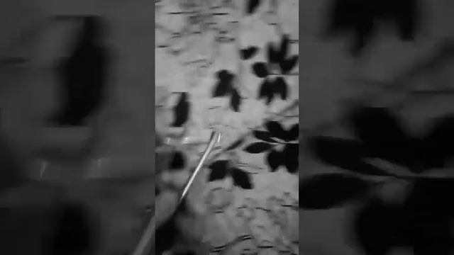 Узел Сотского из 200мм гвоздей размялся)) смотреть онлайн