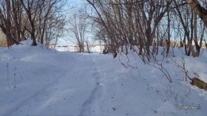 Фотоловушка на реке Ик / Часть 2