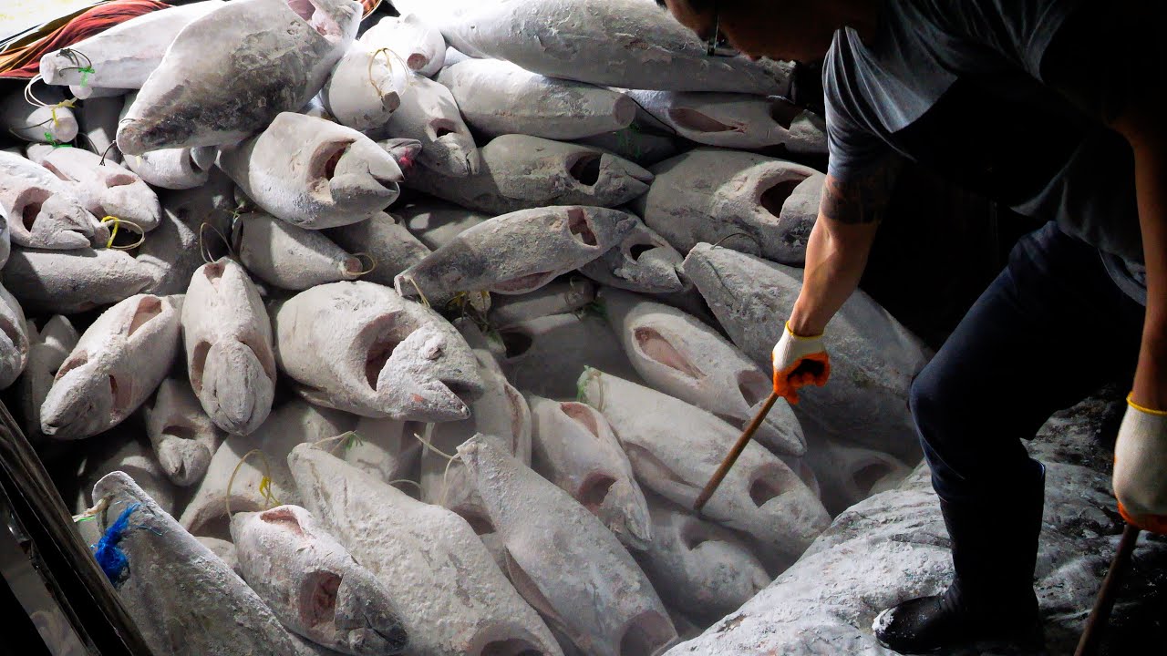 Масштабное производство сашими из голубого тунца | Тайваньская еда