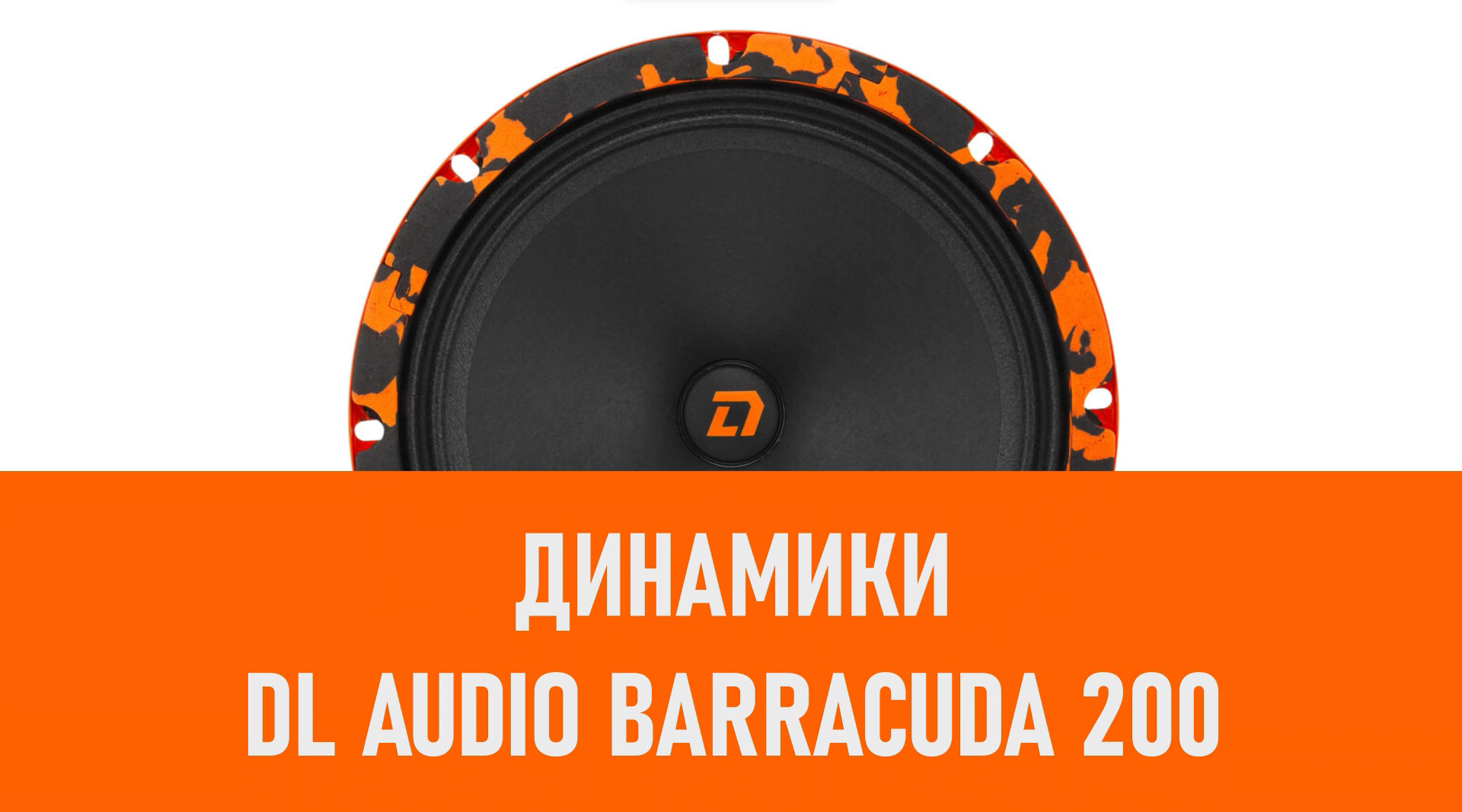Распаковка динамиков DL Audio Barracuda 200