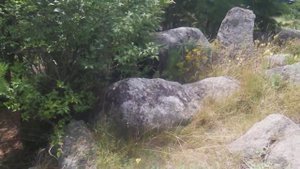 Скалы в самом центре частного сектора п. Кедровое / ГО Верхняя Пышма / Свердловская обл.