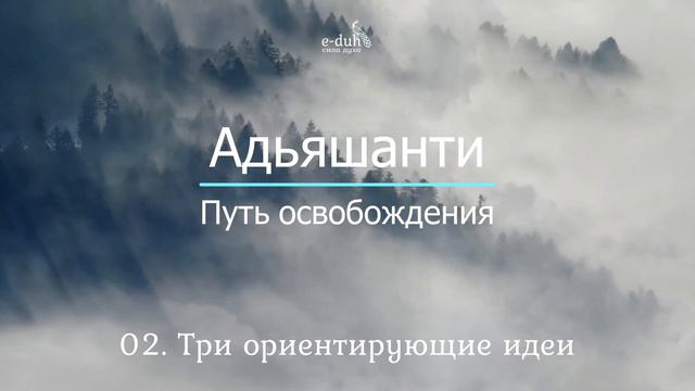 Адьяшанти - 02 Три ориентирующие идеи. Путь освобождения