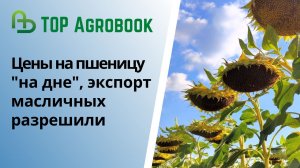 Цены на пшеницу "на дне", масличным разрешили экспорт. TOP Agrobook: обзор аграрных новостей