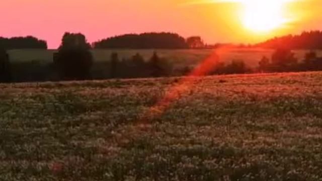 Михаил Васильевич Исаковский. "Аленушка" смотреть онлайн