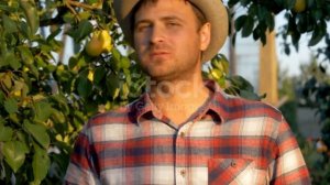 Груша польза и вред для организма