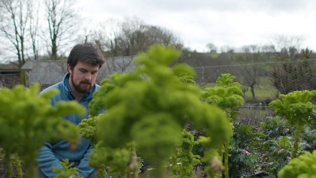 Простой способ стать самодостаточным в еде смотреть онлайн