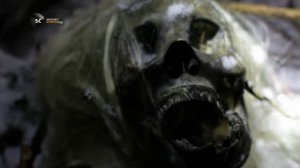 Вот это странно! 2 серия «Люди звери» (документальный сериал, 2012)