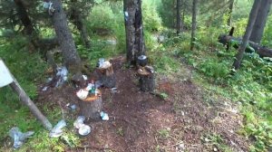 Речка в Тайге КИШИТ ХАРИУСОМ/ Рыбалка на Крупного Хариуса/ Ночёвка в ДИЧАЙШЕЙ ТАЙГЕ, таёжный БЫТ!!!