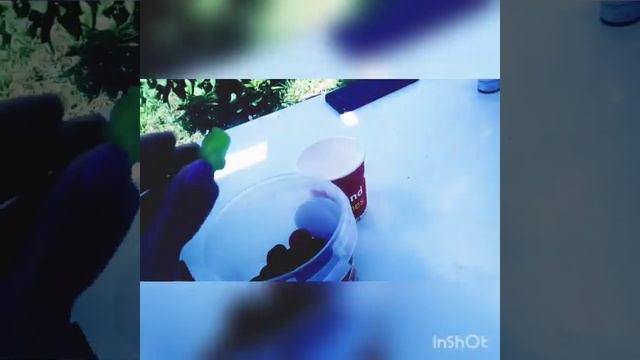 vlog/еду на дачу/третий vlog смотреть онлайн