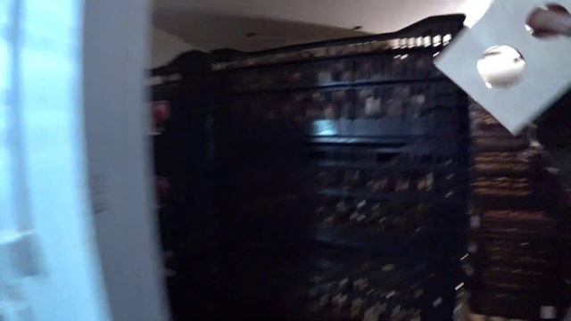 Срочная продажа луковиц тюльпанов!!! смотреть онлайн