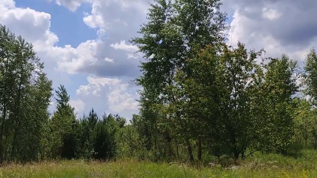 Ивана Купала - 7 июля 2021. Что нельзя и что нужно сделать. Народные традиции и приметы. смотреть онлайн