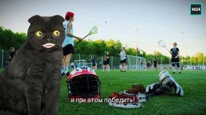 Флорбол и зорбинг | Кот Бублик