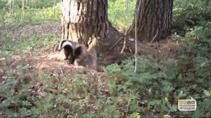 Полистовский Заповедник