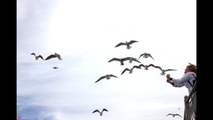 "Никогда не унывай" песня Натальи  Агаповой