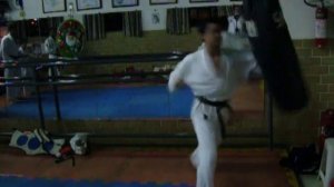 Saco de Treinamento - Karate Shotokan [Brasília DF]