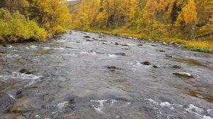 Горная река. Подъем на СВП.