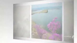 Когда расцветет багульник?