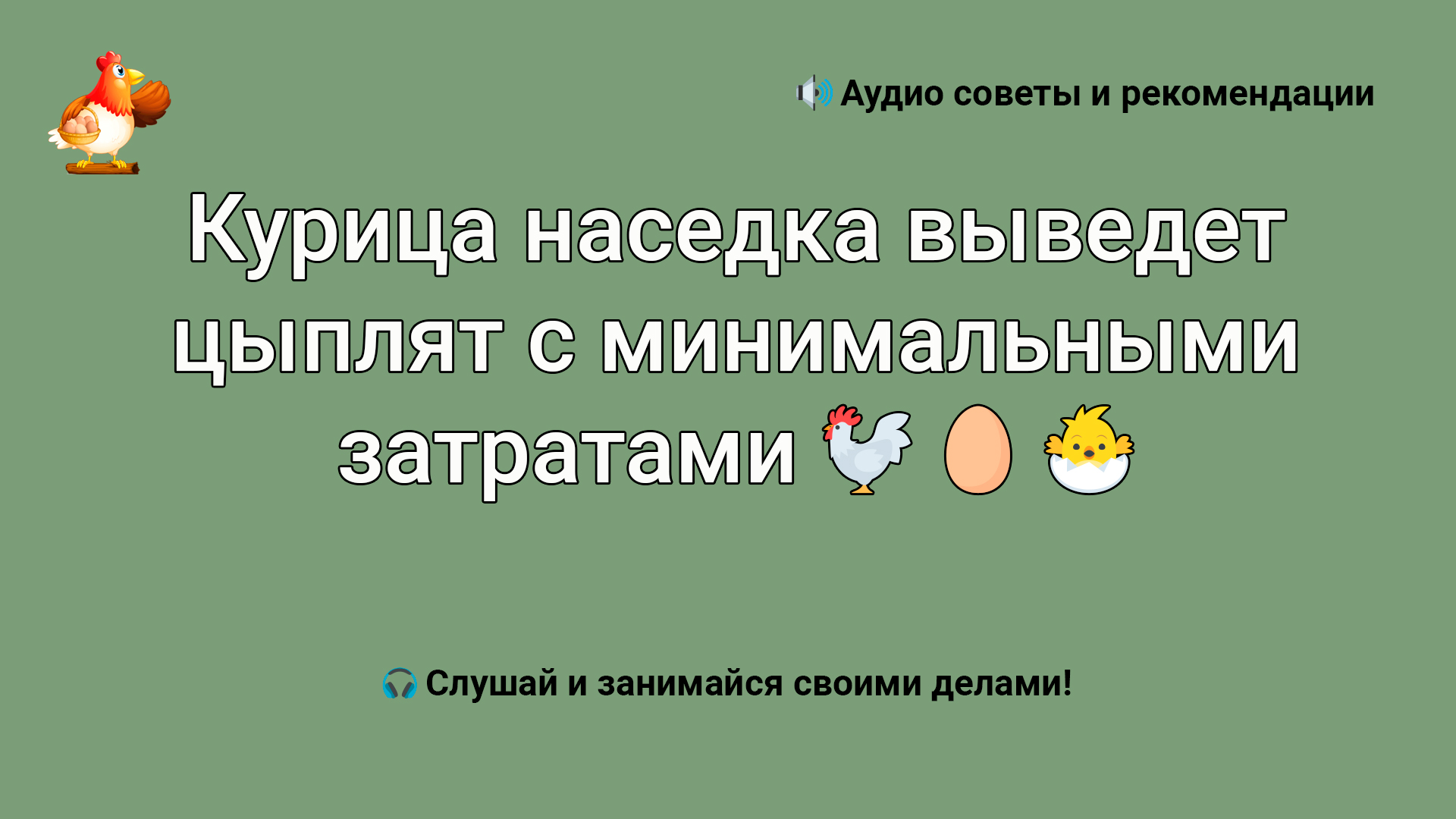Курица наседка выведет цыплят с минимальными затратами ?????