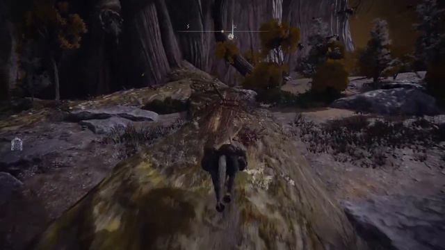 Elden Ring. Река Ансель прохождение 2 смотреть онлайн