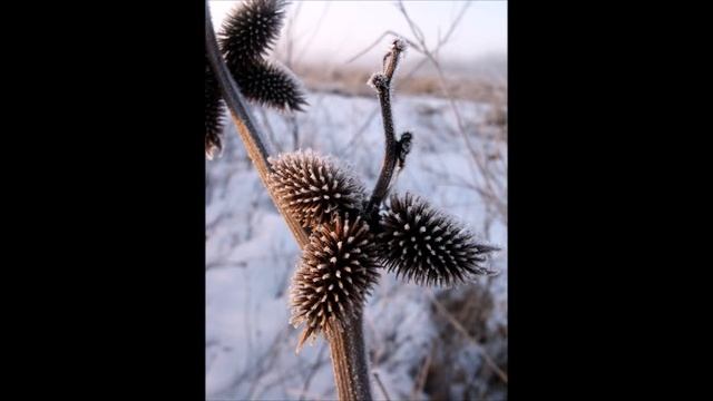 Декор от Снежной королевы/Decor of Snow Queen смотреть онлайн