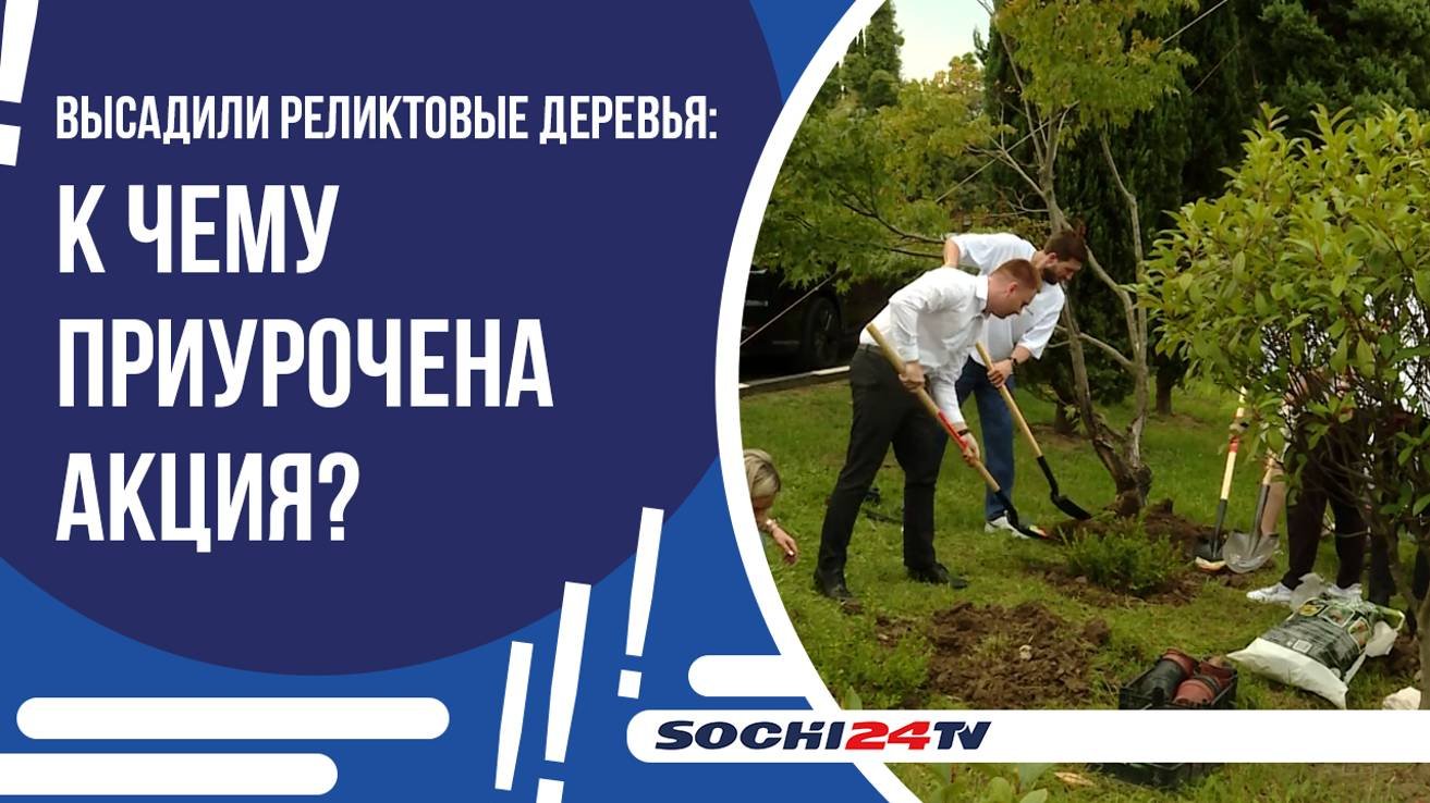 ОЗЕЛЕНЕНИЕ ГОРОДА