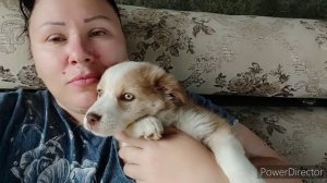 ,МОЯ БАБУЛИЧКА ПОМОЩНИЦА __МОЙ МУЖ ОН САМЫЙ САМЫЙ __ ПАПА МОЙ ОН С ЮМОРКОМ _