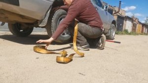 Как запустить мотор без стартера?