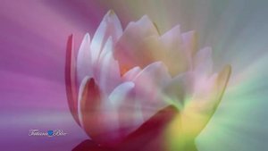 Giovanni Marradi "Peacefully" -  Джованни Марради "Мирно, спокойно, безмятежно"