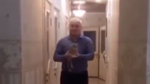 "Вот у нас, 2 котика катается, не один..."