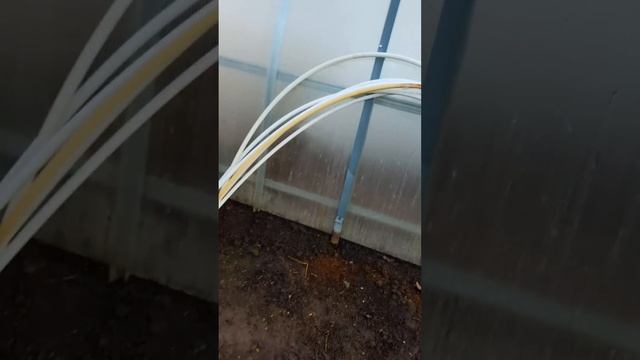 30 АПРЕЛЯ?ЗАМОРОЗКИ В ПОДМОСКОВЬЕ ? КАК СПАСТИ РАССАДУ. смотреть онлайн