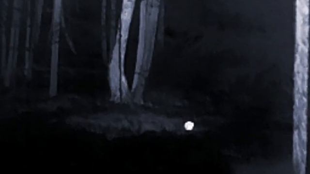 ТЕПЛОВИЗОР Т2 PRO смотреть онлайн