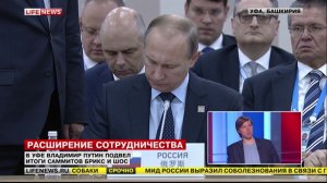 Дмитрий Савкин: Итоги саммитов БРИКС и ШОС 