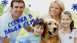 Собака в вашей семье.