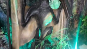 выставка динозавров.....