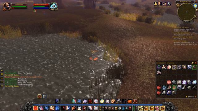 Do The Raptor Rap. (Contains No Rap) | WoW Classic BLIND #76 смотреть онлайн