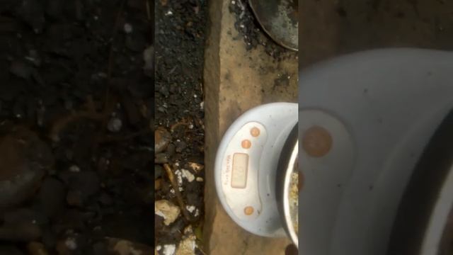 20 апреля 2020 г..mp4 смотреть онлайн