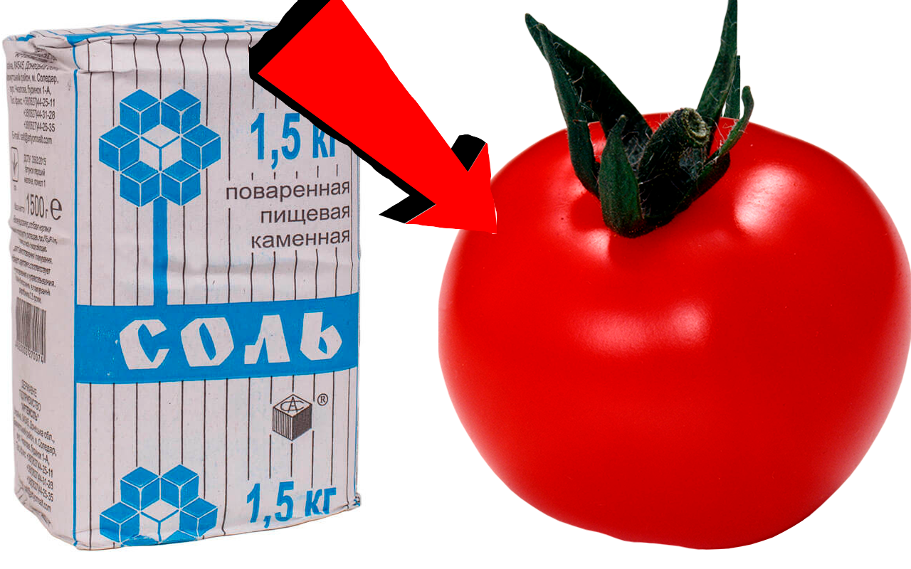 Как подкормить помидоры За 3 Секунды!