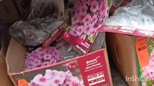 ОБИ. Мега. Белая Дача.#обзор #цветоводство #флоксы