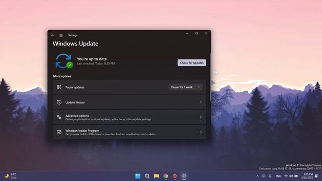 New Windows 11 Build 25126 – New Page in Settings App, Task Manager Improvements and Fixes (Dev) смотреть онлайн