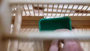 Клетка для Кенара,ручной работы .Заказывайте это Удобно !