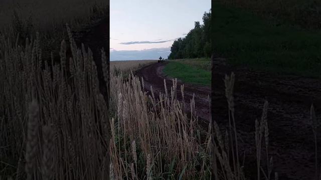 ЭкстримТау смотреть онлайн